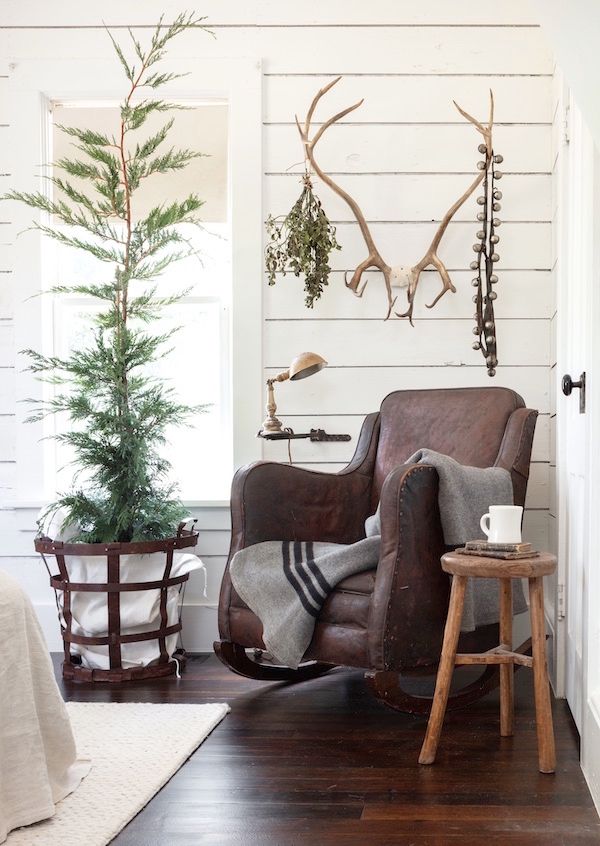 Corner of living room with easy chair, vintage blanket and natural evergreen tree. Antlers hanging on wall.