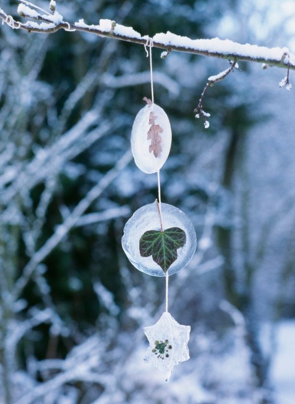 Handmade ice ornaments with frozen leaves inside.