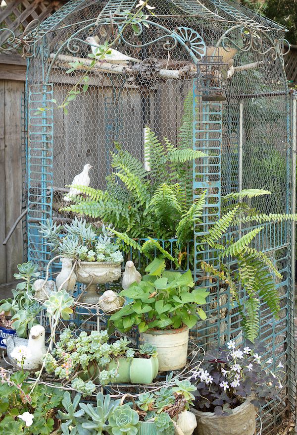 Outdoor dove aviary with plants and concrete statuaries.